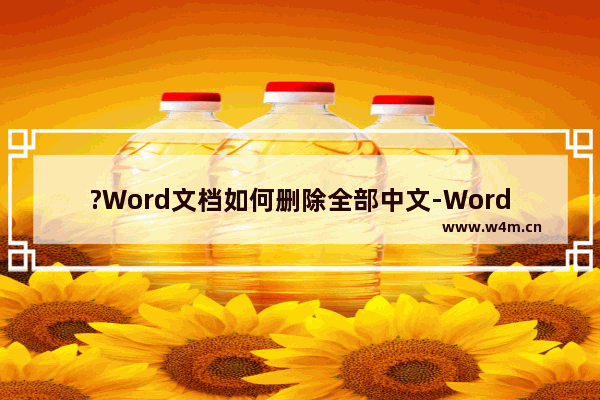 ?Word文档如何删除全部中文-Word文档批量去掉全部中文保留英文的方法教程