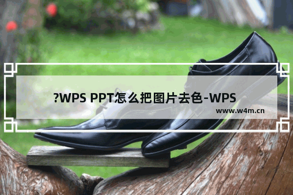 ?WPS PPT怎么把图片去色-WPS PPT给图片去色的方法教程