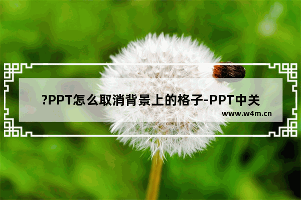 ?PPT怎么取消背景上的格子-PPT中关闭网格线的方法教程