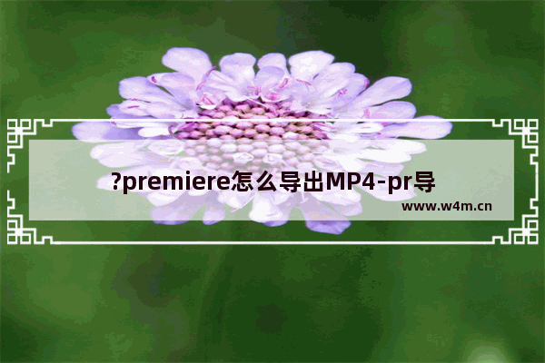 ?premiere怎么导出MP4-pr导出MP4视频格式的方法教程