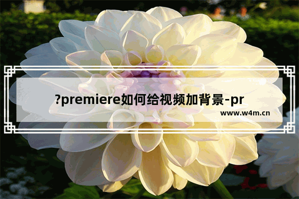 ?premiere如何给视频加背景-pr在视频上加个边框的方法教程