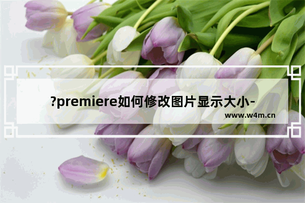 ?premiere如何修改图片显示大小-pr调整图片显示大小的方法教程