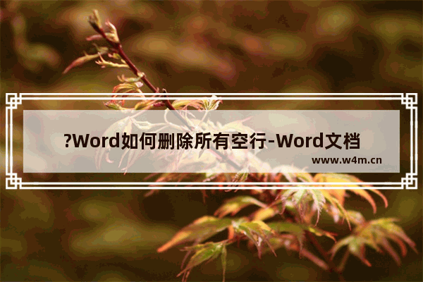 ?Word如何删除所有空行-Word文档批量删除所有的空白行的方法教程