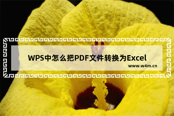 WPS中怎么把PDF文件转换为Excel文件-WPS PDF文档转成Excel的方法