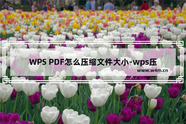 WPS PDF怎么压缩文件大小-wps压缩pdf文件大小的方法