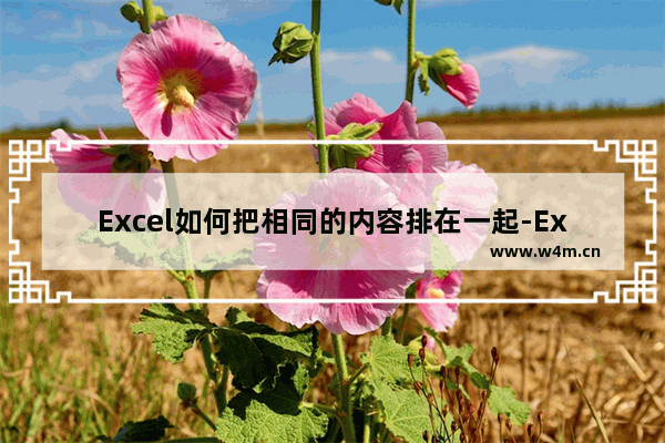 Excel如何把相同的内容排在一起-Excel把相同的内容排在一起的方法