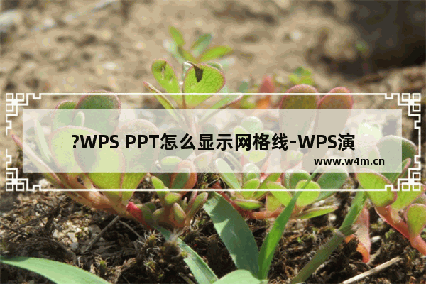 ?WPS PPT怎么显示网格线-WPS演示添加网格线的方法教程