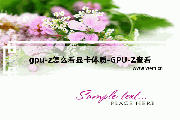 gpu-z怎么看显卡体质-GPU-Z查看显卡体质的方法