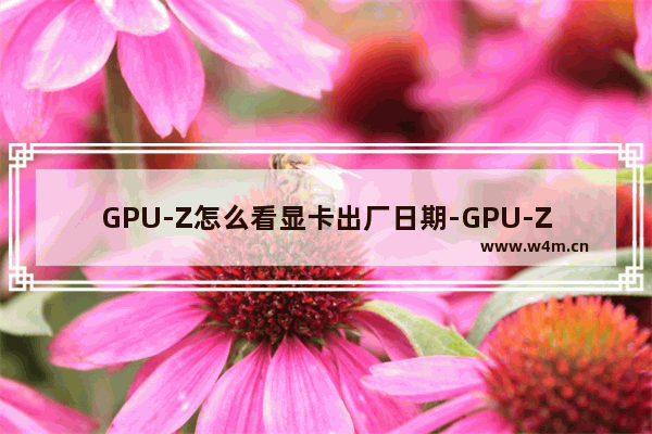 GPU-Z怎么看显卡出厂日期-GPU-Z查看显卡生产日期的方法