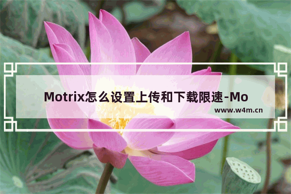 Motrix怎么设置上传和下载限速-Motrix设置限速的方法