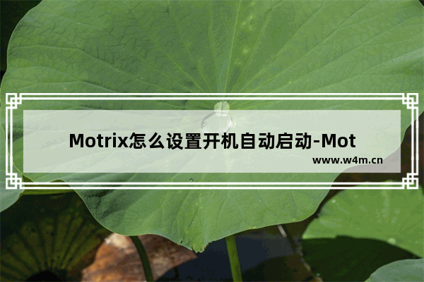 Motrix怎么设置开机自动启动-Motrix设置开机自启动的方法