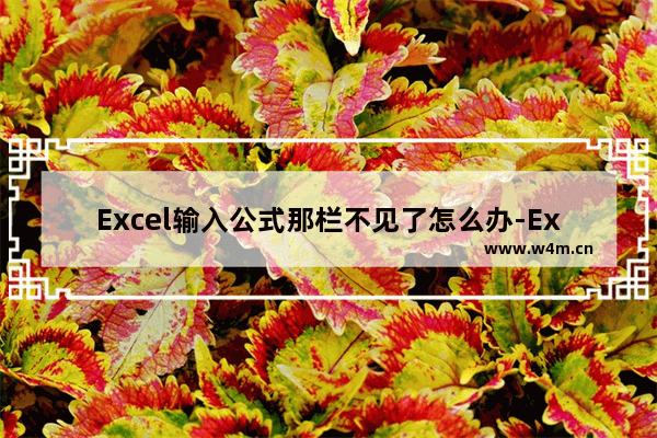 Excel输入公式那栏不见了怎么办-Excel输入公式那栏不显示的解决方法