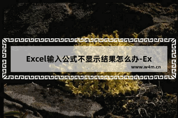 Excel输入公式不显示结果怎么办-Excel输入公式不显示结果的解决方法