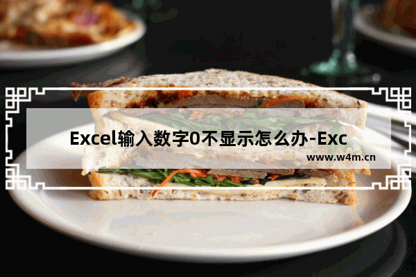 Excel输入数字0不显示怎么办-Excel输入数字0不显示的解决方法