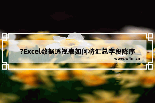 ?Excel数据透视表如何将汇总字段降序排列-Excel数据透视表设置降序排列的方法教程