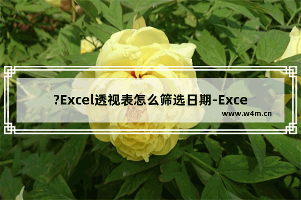 ?Excel透视表怎么筛选日期-Excel表格的数据透视表中筛选数据的方法教程