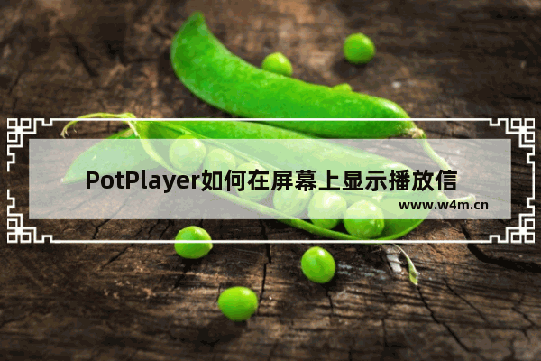 PotPlayer如何在屏幕上显示播放信息-PotPlayer在屏幕上显示播放信息的方法