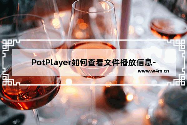 PotPlayer如何查看文件播放信息-PotPlayer查看文件播放信息的方法