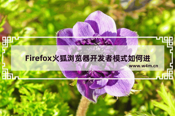 Firefox火狐浏览器开发者模式如何进入-火狐浏览器打开开发者模式的方法