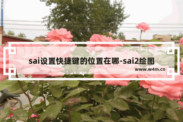 sai设置快捷键的位置在哪-sai2绘图软件设置功能快捷键的方法