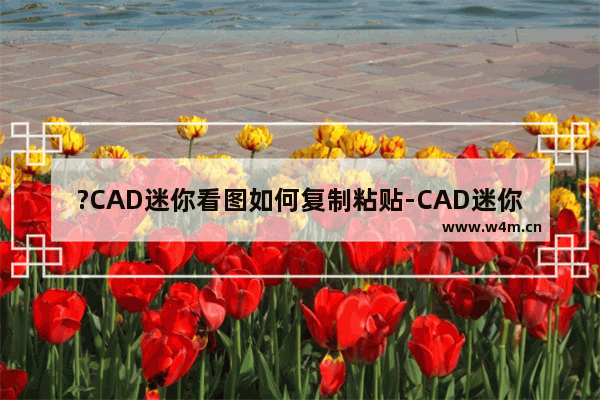 ?CAD迷你看图如何复制粘贴-CAD迷你看图中进行复制粘贴操作的方法教程