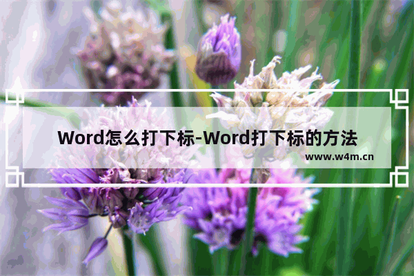 Word怎么打下标-Word打下标的方法