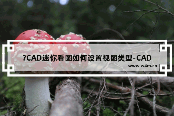 ?CAD迷你看图如何设置视图类型-CAD迷你看图调整视图模式的方法教程