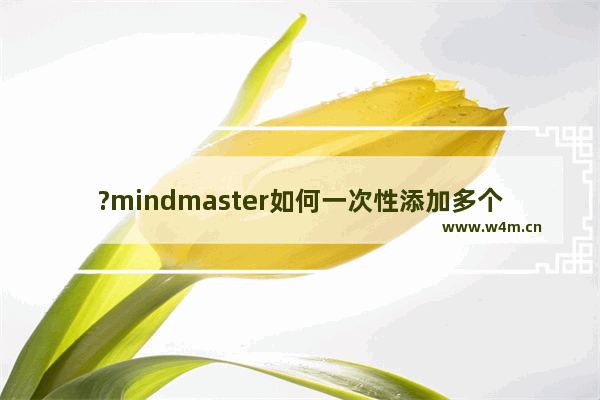 ?mindmaster如何一次性添加多个子主题-亿图脑图mindmaster批量添加多级子主题的方法教程