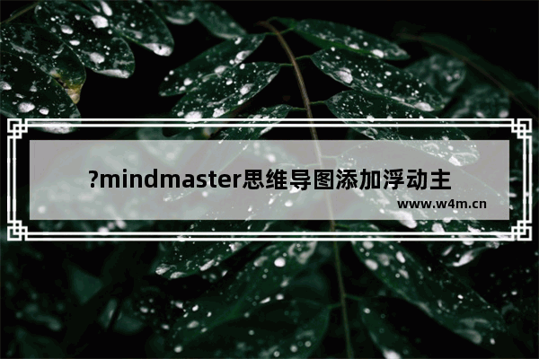 ?mindmaster思维导图添加浮动主题该如何操作-亿图脑图mindmaster添加浮动主题的方法教程