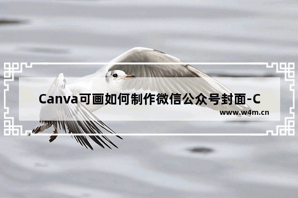 Canva可画如何制作微信公众号封面-Canva可画制作微信公众号封面的方法