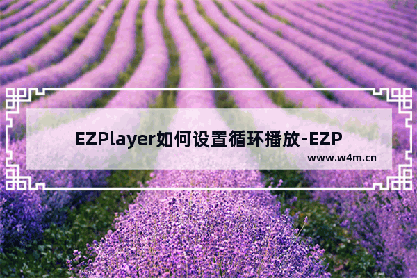 EZPlayer如何设置循环播放-EZPlayer设置循环播放的方法