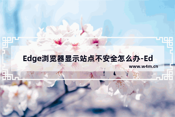 Edge浏览器显示站点不安全怎么办-Edge浏览器显示站点不安全的解决方法