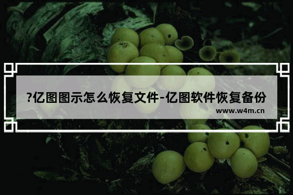 ?亿图图示怎么恢复文件-亿图软件恢复备份文件的方法教程