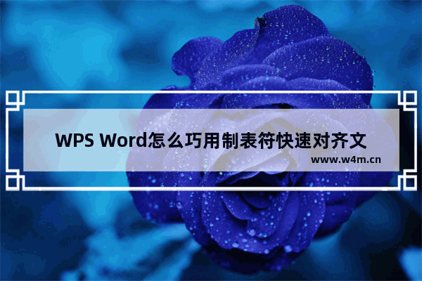 WPS Word怎么巧用制表符快速对齐文字-WPS文档利用制表符快速对齐文字的方法