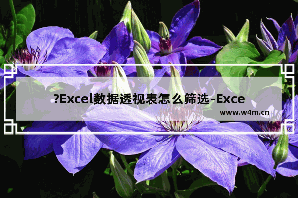 ?Excel数据透视表怎么筛选-Excel表格中对数据透视表进行筛选的方法教程