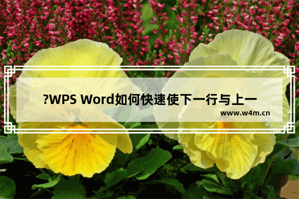 ?WPS Word如何快速使下一行与上一行文字对齐-WPS文档实现多行长短不一的文字上下对齐的方法