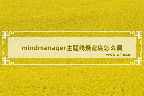 mindmanager主题线条宽度怎么调-MindManager中调整主题线条宽度的方法