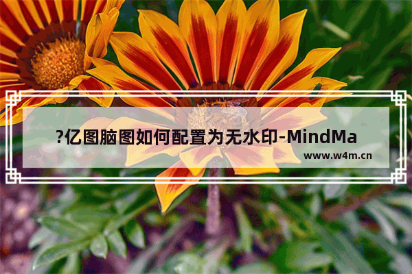 ?亿图脑图如何配置为无水印-MindMaster添加或者移除水印的方法教程