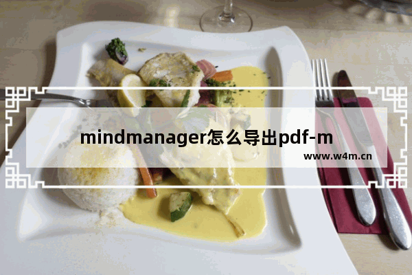 mindmanager怎么导出pdf-mindmanager导出pdf文件的方法