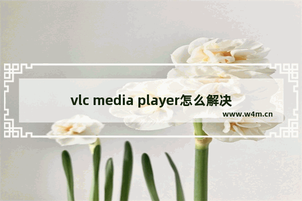 vlc media player怎么解决音画不同步-vlc media player解决音画不同步的方法