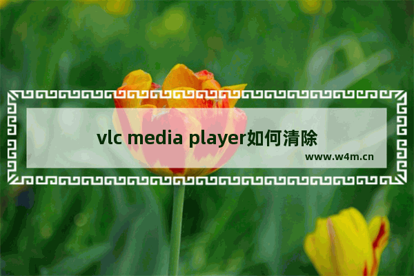 vlc media player如何清除播放记录-vlc media player清除播放记录的方法