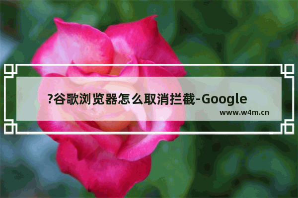 ?谷歌浏览器怎么取消拦截-Google Chrome取消拦截窗口的方法教程