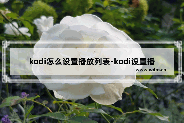 kodi怎么设置播放列表-kodi设置播放列表的方法