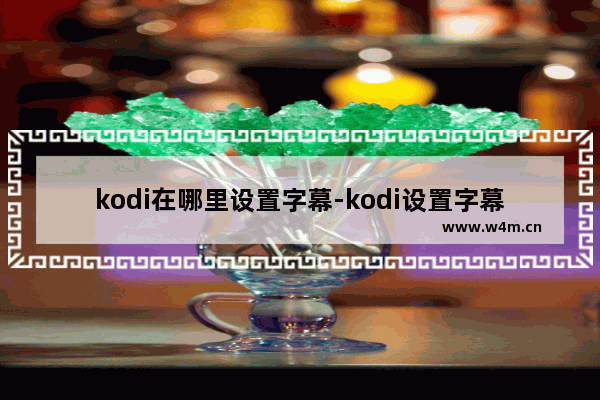 kodi在哪里设置字幕-kodi设置字幕的方法