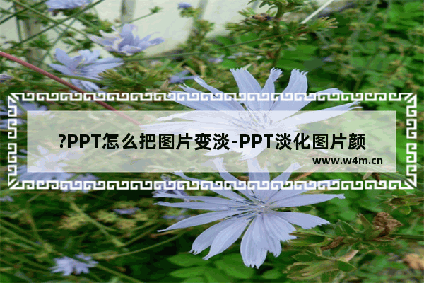 ?PPT怎么把图片变淡-PPT淡化图片颜色的方法教程