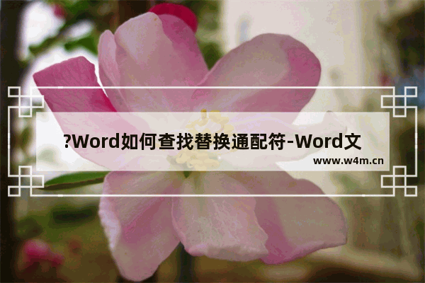 ?Word如何查找替换通配符-Word文档使用通配符的方法教程