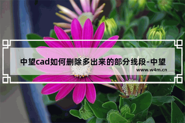 中望cad如何删除多出来的部分线段-中望CAD2023删除多余的线条的方法