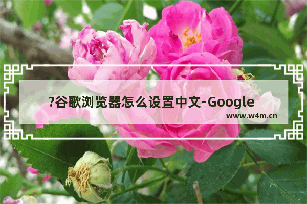 ?谷歌浏览器怎么设置中文-Google Chrome设置为中文界面的方法教程