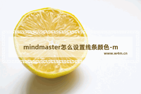 mindmaster怎么设置线条颜色-mindmaster更改线条颜色的方法