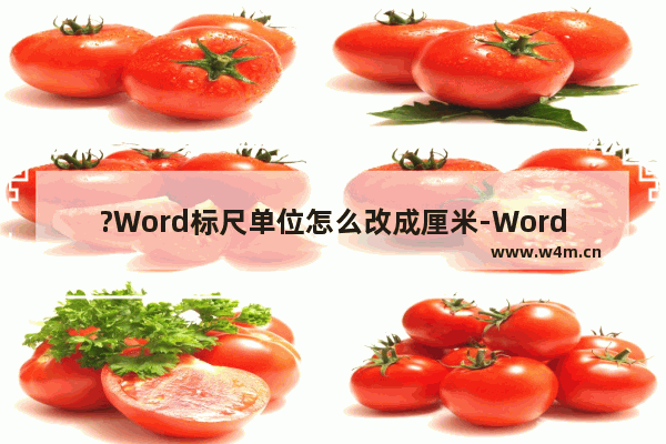 ?Word标尺单位怎么改成厘米-Word文档把标尺的单位改为厘米的方法教程